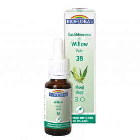 38 Willow Wilg Bio - 20 ml | Inula